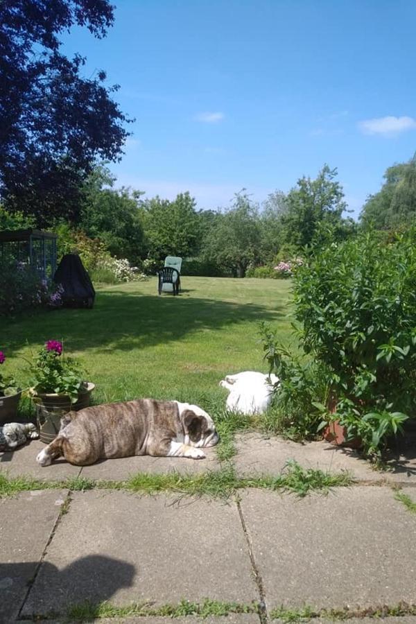 Skellingthorpe Twenty B&B 외부 사진