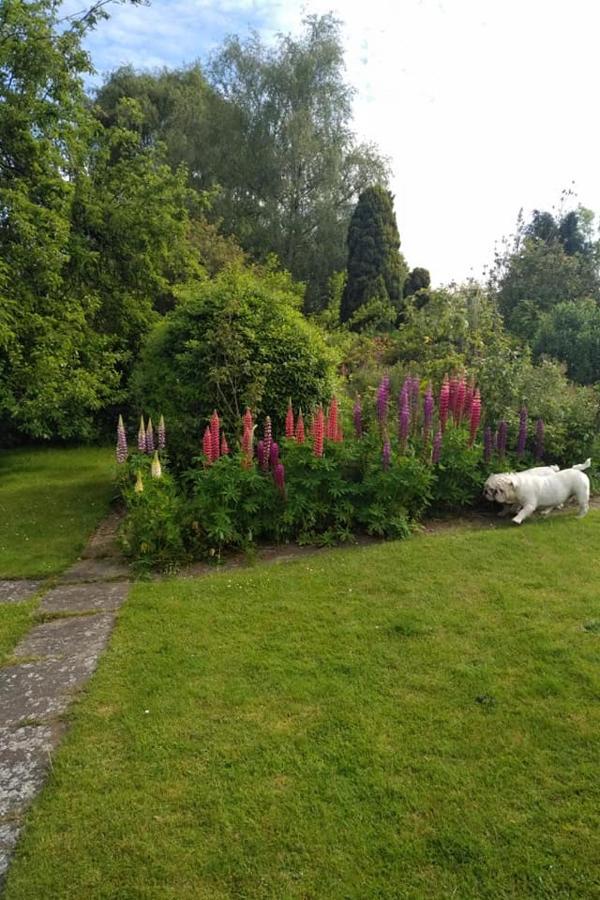Skellingthorpe Twenty B&B 외부 사진