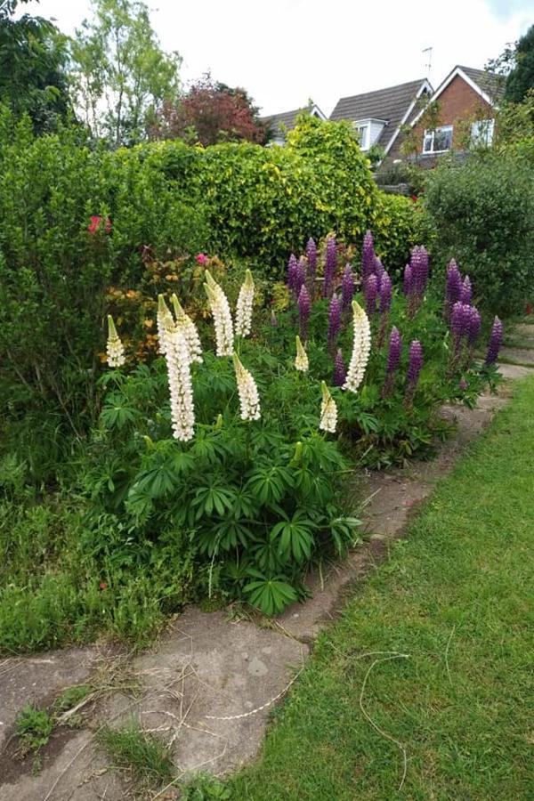 Skellingthorpe Twenty B&B 외부 사진